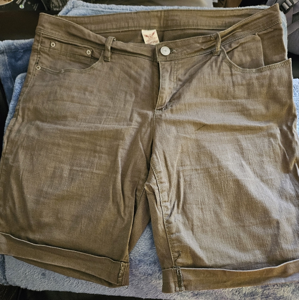 Stylish Green Denim Women's Shorts